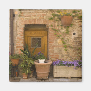 Aimant Montefollonico, Val d'Orcia, province de Sienne, 2
