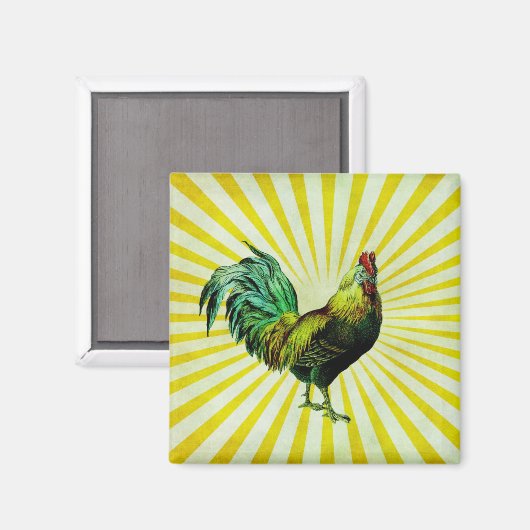 Aimant Monter et briller (Recto/Verso)