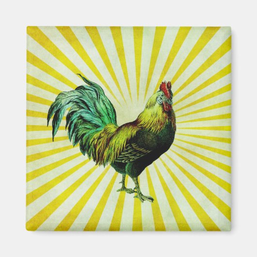 Aimant Monter et briller (Devant)