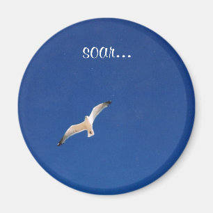 Aimant Montez…