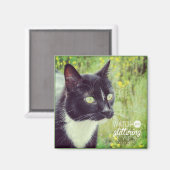 Aimant Montre Avec Des Yeux Étincelants Chat (Recto/Verso)