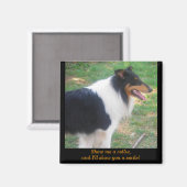 Aimant Montre-moi un collie... (Recto/Verso)