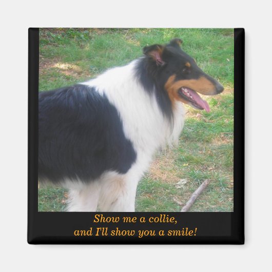 Aimant Montre-moi un collie... (Devant)