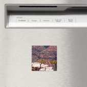 Aimant Montres Rafinesques (In Situ (Lave-vaisselle))