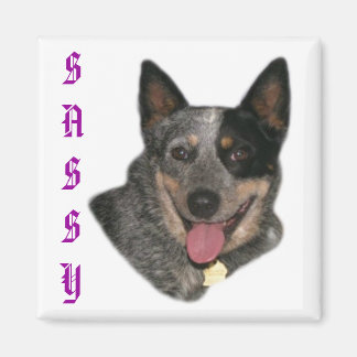 Aimant Montrez votre fierté