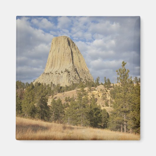 Aimant Monument national de Devils Tower (Devant)