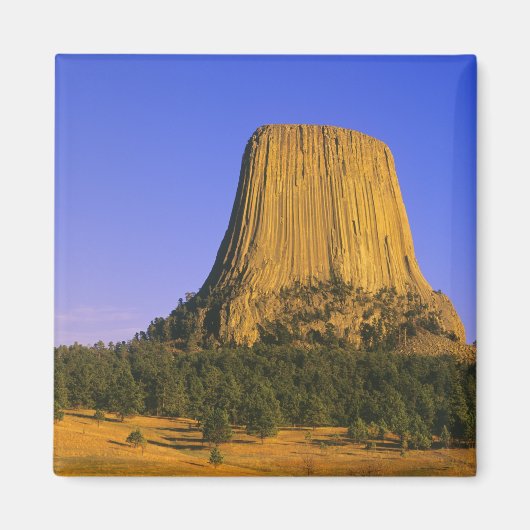 Aimant Monument national de Devils Tower dans le Wyoming (Devant)