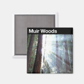 Aimant Monument national de Muir Woods (Recto/Verso)