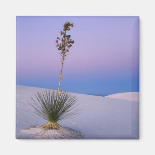 AIMANT MONUMENT NATIONAL DE WHITE SANDS, NOUVEAU-MEXIQUE.