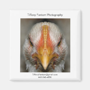 Aimant Morceau de promo de poulet