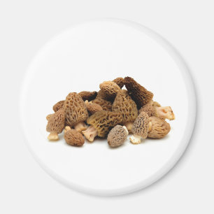 Aimant Morel Mushroom