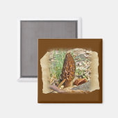 Aimant Morel Mushroom (Recto/Verso)