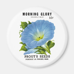 Aimant Morning Glory Vintage Seed Packet