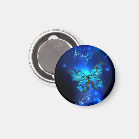 Aimant Morpho Butterfly in the Dark Background (Recto/Verso)