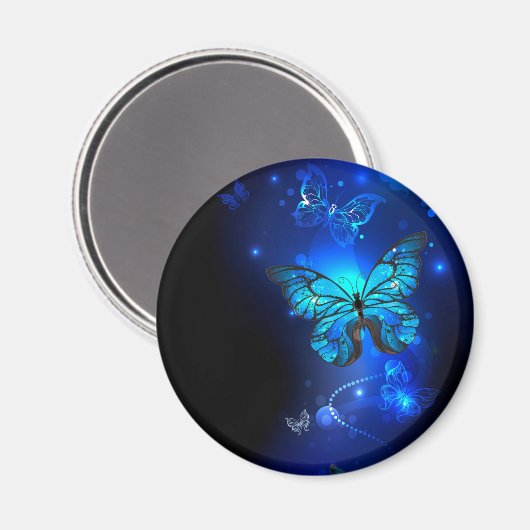 Aimant Morpho Butterfly in the Dark Background (Recto/Verso)