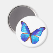 Aimant Morpho rhetenor (Recto/Verso)