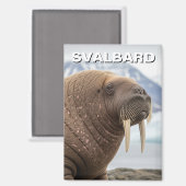 Aimant Morse à Svalbard Norvège (Recto/Verso)