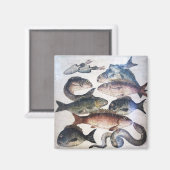 AIMANT MOSAÏQUES ROMAINES ANTIQUES, POISSONS, ESPACE DE V (Recto/Verso)