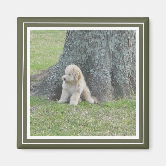 Aimant Moss Modèle photo personnalisé vert et blanc (Devant)