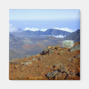 Aimant Mot d'argent sur la rime du cratère de Haleakala 