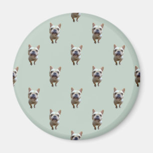 Aimant motif_2_bouledogue français_2
