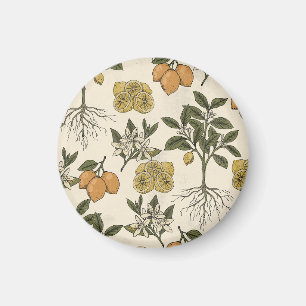 Aimant Motif Citron Vintage