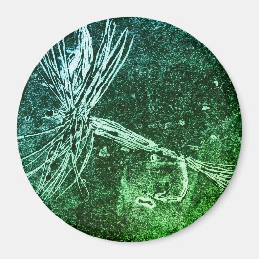 Aimant Motif classique à mouches sèches pour la pêche à l (Devant)