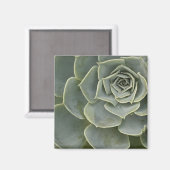 Aimant Motif de cactus (Recto/Verso)