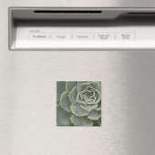 Aimant Motif de cactus (In Situ (Lave-vaisselle))