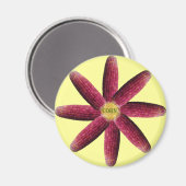 Aimant Motif de Corne rouge (Recto/Verso)