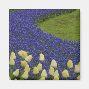 Aimant Motif de jardin de fleurs de Muscari et 2
