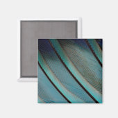 Aimant Motif de plume bleue (Recto/Verso)