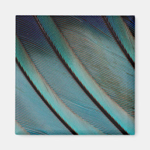 Aimant Motif de plume bleue