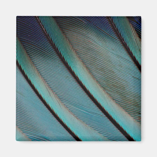 Aimant Motif de plume bleue (Devant)