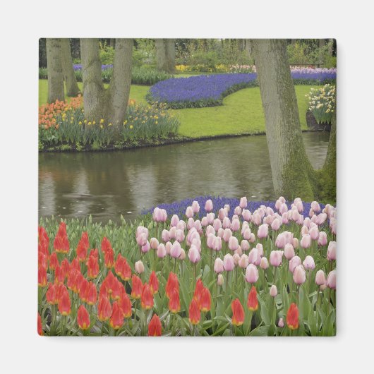 Aimant Motif de tulipes et de fleurs de jacinthe de raisi (Devant)