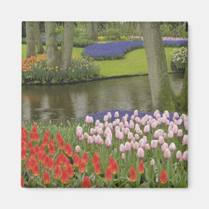 Aimant Motif de tulipes et de fleurs de muscari,