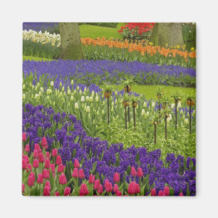 Aimant Motif de tulipes jacinthe et muscari