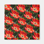Aimant Motif des Tulipes rouges (Devant)