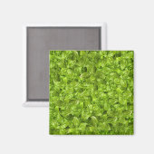 Aimant Motif Feuille Basil (Recto/Verso)