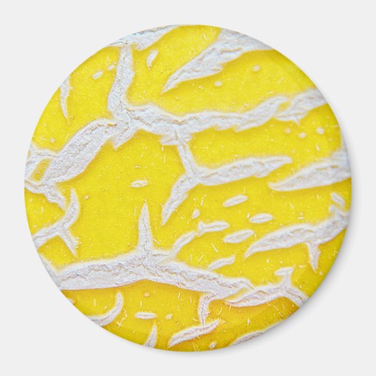 Aimant Motif melon jaune (Devant)