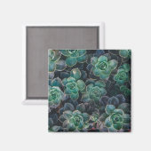 Aimant Motif Succulent (Recto/Verso)
