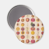 Aimant Motif vintage de fruits (Recto/Verso)
