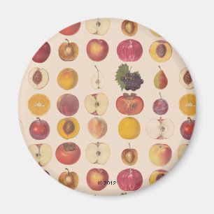 Aimant Motif vintage de fruits