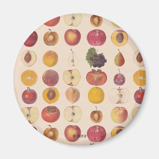 Aimant Motif vintage de fruits (Devant)