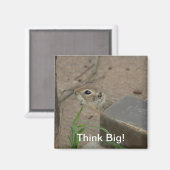 Aimant Motivation animale de l'écureuil terrestre du dése (Recto/Verso)