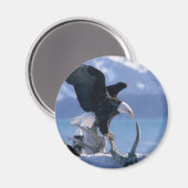 Aimant mouche de l'aigle2 (Recto/Verso)