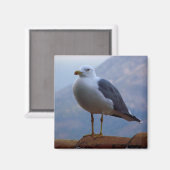Aimant Mouette posée en paroi (Recto/Verso)