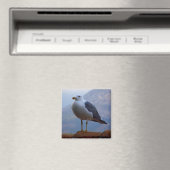 Aimant Mouette posée en paroi (In Situ (Lave-vaisselle))