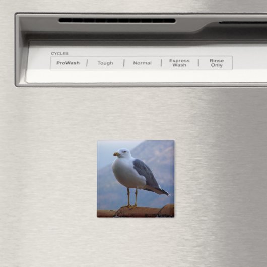 Aimant Mouette posée en paroi (In Situ (Lave-vaisselle))