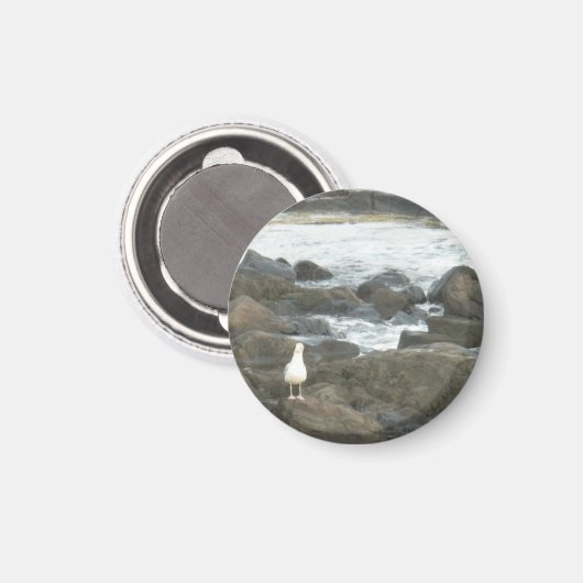 Aimant Mouette sur rochers (Recto/Verso)